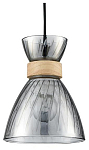 Подвесной светильник Lumion Mirabela 8050/1А 250_100_Array