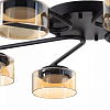 Потолочная люстра Citilux ESPACE CL243181 100_100_2877264