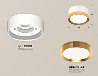 Накладной светильник Ambrella Light XS XS8101005 250_100_2012593