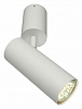 Спот Aployt Berenis APL.007.02.01 100_100_2275981