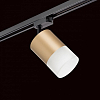 Светильник на штанге Lightstar Rullo R1T349081 100_100_1718020