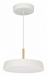 Подвесной светильник Arlight ELEGANT 033914(1) 250_100_1904148