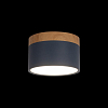 Накладной светильник Loft it Grape 10162 Blue 100_100_3154360