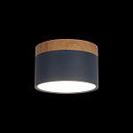 Накладной светильник Loft it Grape 10162 Blue 250_100_Array