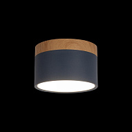 Накладной светильник Loft it Grape 10162 Blue 500_191_3154360