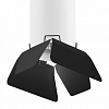 Накладной светильник Lightstar Rullo R496437 100_100_1715191