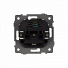Розетка с заземлением и 2хUSB type A, без рамки Arlight SCT 049821 100_100_681319