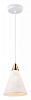 Подвесной светильник Ambrella Light TR TR8429 100_100_2021825