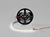 Лента светодиодная SWG PRO SWG2P252 00-00005077 100_100_2441189