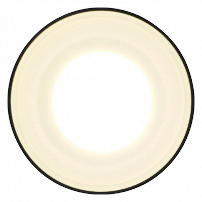 Накладной светильник Ambrella Light TN TN3204 400_400_2013993