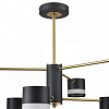 Люстра на штанге Lumion Lanika 8240/6C 100_100_1866882