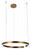 Подвесной светильник Loft it Ring 10013L 100_100_1845707