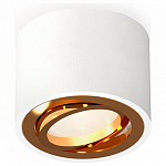 Накладной светильник Ambrella Light XS XS7510004 250_100_Array