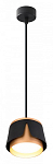 Подвесной светильник Arte Lamp Amaks A8028SP-1BK 250_100_1826481