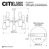 Люстра на штанге Citilux TENDY CL244151 100_100_3089443