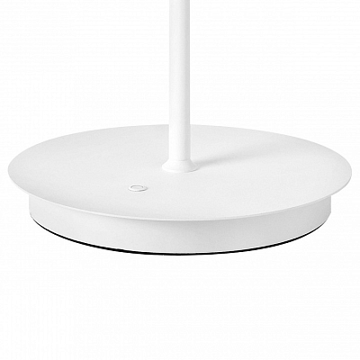 Настольная лампа декоративная Lightstar Grazia 608916 400_400_2839042