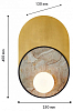 Накладной светильник Favourite Messier 4595-1W 100_100_1770229