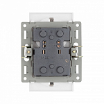 Розетка двойная с заземлением, без рамки Arlight SCT 043766 250_100_679617