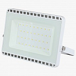Настенно-потолочный прожектор LEDS POWER Е027 001074 250_100_Array
