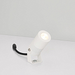 Настенно-потолочный прожектор Arlight RAY 053633 250_100_680160