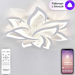 Потолочная люстра Natali Kovaltseva OLIMP LED SMART 84005 250_100_660417