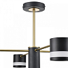 Люстра на штанге Lumion Lanika 8240/8C 100_100_1866893
