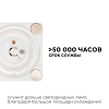 Модуль светодиодный Apeyron Electrics  02-17 100_100_2175986