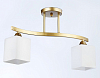 Светильник на штанге Ambrella Light TR TR303119 100_100_2734917