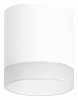 Накладной светильник Lightstar Rullo R348680 100_100_2448330