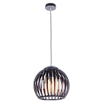 Подвесной светильник Lussole  Hockessin LSP-0160 250_100_Array