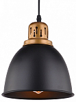 Подвесной светильник Arte Lamp Eurica A4245SP-1BK 250_100_Array