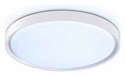 Накладной светильник Ambrella Light FZ FZ1246 250_100_Array
