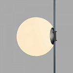 Накладной светильник Denkirs Belty Orb DK5555-BK 250_100_1915567