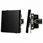 Выключатель двухклавишный без рамки Arlight SWT 054059 250_100_1602755