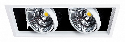 Встраиваемый светильник Arte Lamp Merga A8450PL-2WH 500_191_3146163