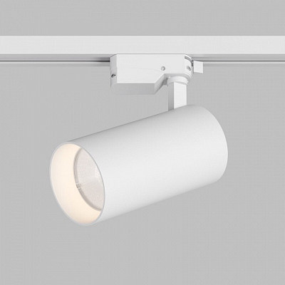 Светильник на штанге Denkirs  DK6455-WH 400_400_3149766