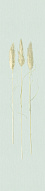 33270 Панно Marburg (1*1) 3,30x0,70 винил на флизелине 500_191_2377739