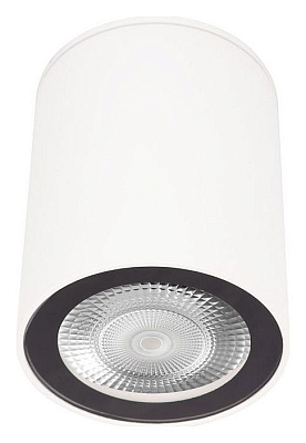 Накладной светильник Loft it Rush 10344 White 400_400_2448800