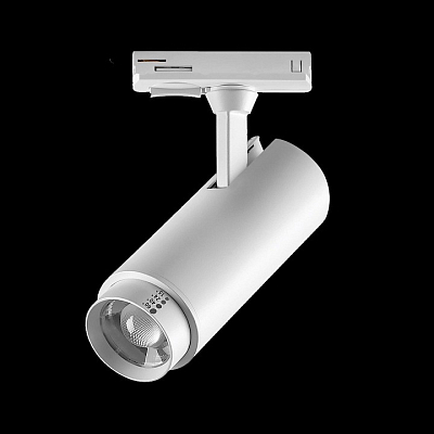 Светильник на штанге Lightstar Fuoco P+CCT 218016 400_400_2837708