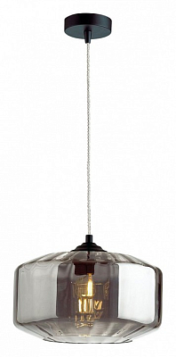 Подвесной светильник Odeon Light Binga 4746/1 400_400_1724768