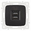 Розетка USB, без рамки Arte Milano am-205 205.46-1.black 100_100_2302631
