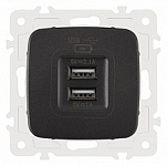 Розетка USB, без рамки Arte Milano am-205 205.46-1.black 250_100_Array