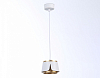 Подвесной светильник Ambrella Light TN TN71245 100_100_2022538