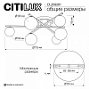 Потолочная люстра Citilux Glob CL209261 100_100_2380979