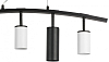 Подвесной светильник Lightstar Rullo LR735363872 100_100_1716643