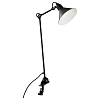 Настольная лампа офисная Lightstar Loft 765927 100_100_1679311