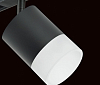 Светильник на штанге Lightstar Rullo PRO348781 100_100_1717902