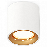 Накладной светильник Ambrella Light XS XS7531024 250_100_Array