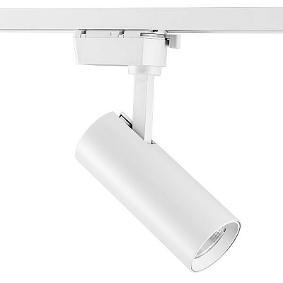 Светильник на штанге Lightstar Volta 228246 400_400_1712337