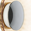Накладной светильник Lightstar Celesta 809013 100_100_2390880